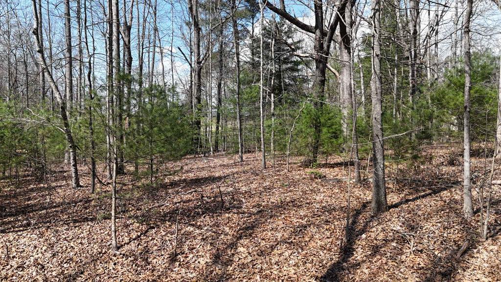 Lot 12 JH Berrong Dr