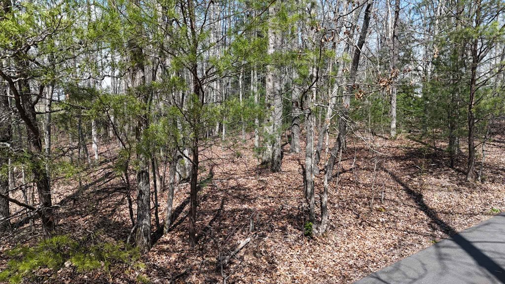 Lot 12 JH Berrong Dr
