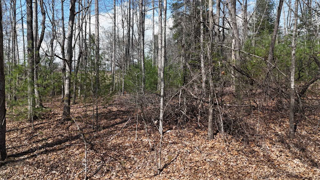 Lot 12 JH Berrong Dr