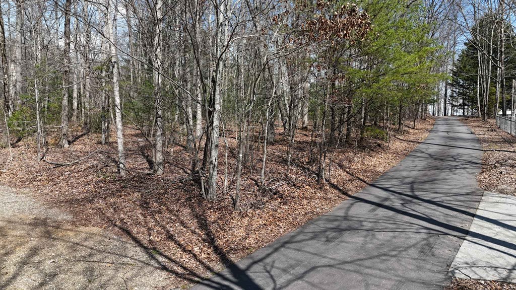 Lot 12 JH Berrong Dr