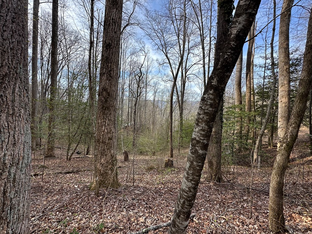 440 Holly Falls Lane