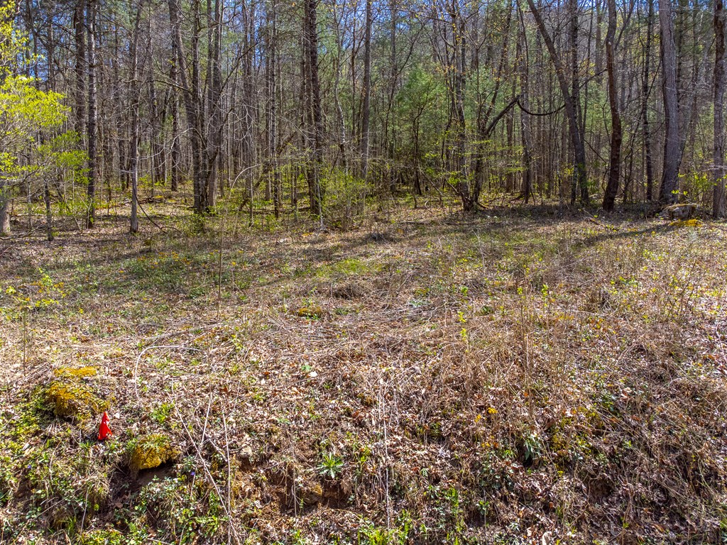 306 Cedar Creek Farm Rd