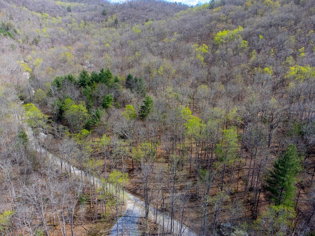 306 Cedar Creek Farm Rd