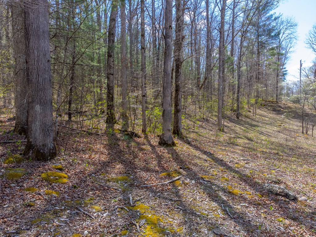 306 Cedar Creek Farm Rd