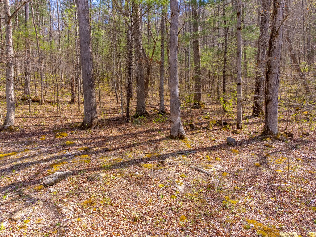 306 Cedar Creek Farm Rd
