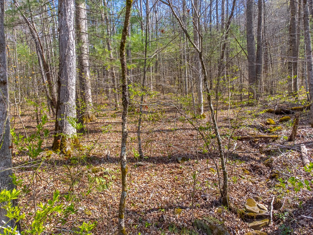 306 Cedar Creek Farm Rd