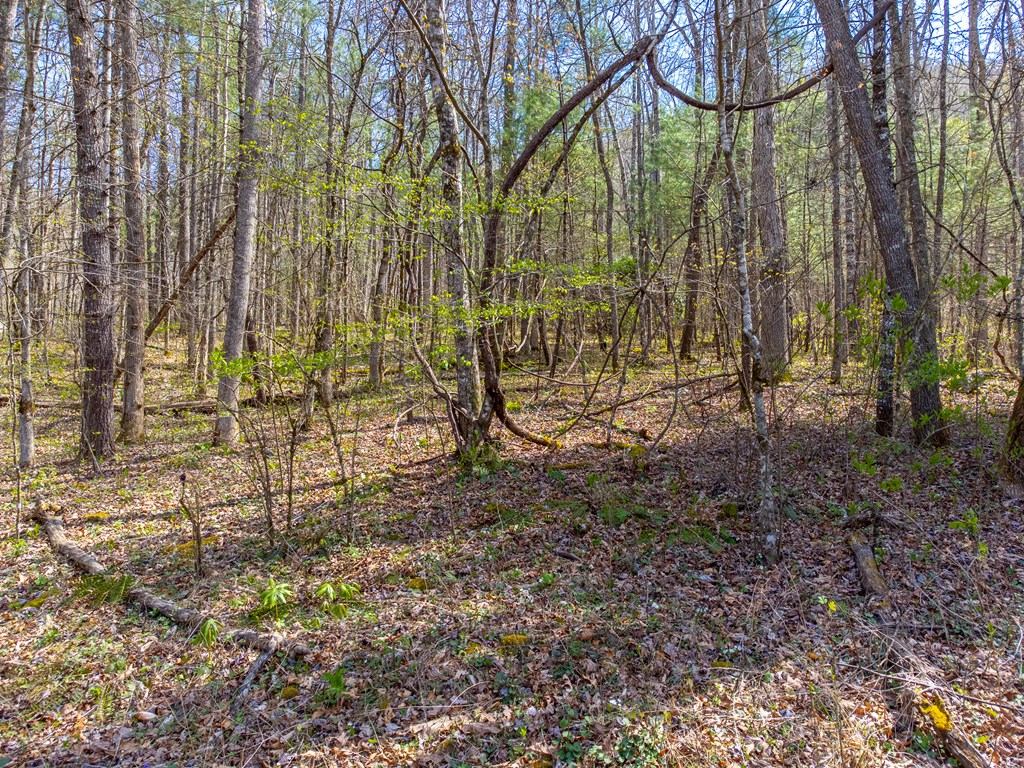 306 Cedar Creek Farm Rd
