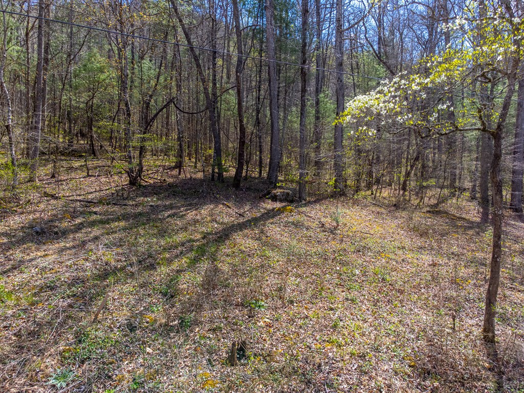 306 Cedar Creek Farm Rd