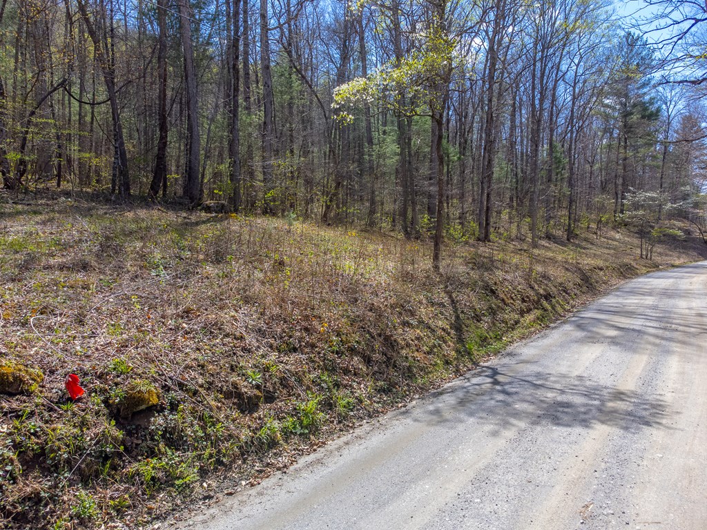 306 Cedar Creek Farm Rd