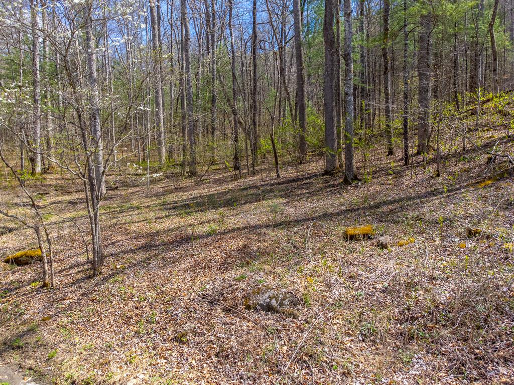 306 Cedar Creek Farm Rd