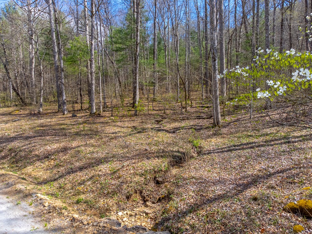 306 Cedar Creek Farm Rd
