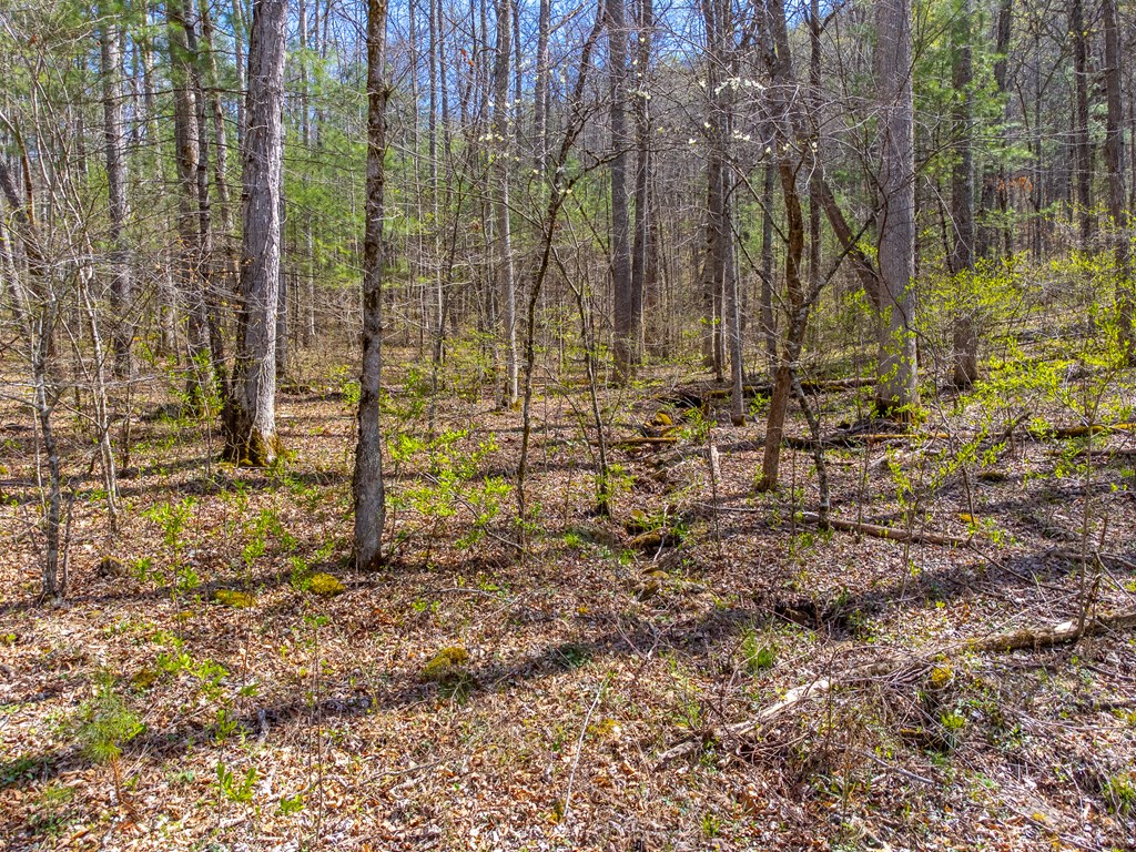 306 Cedar Creek Farm Rd