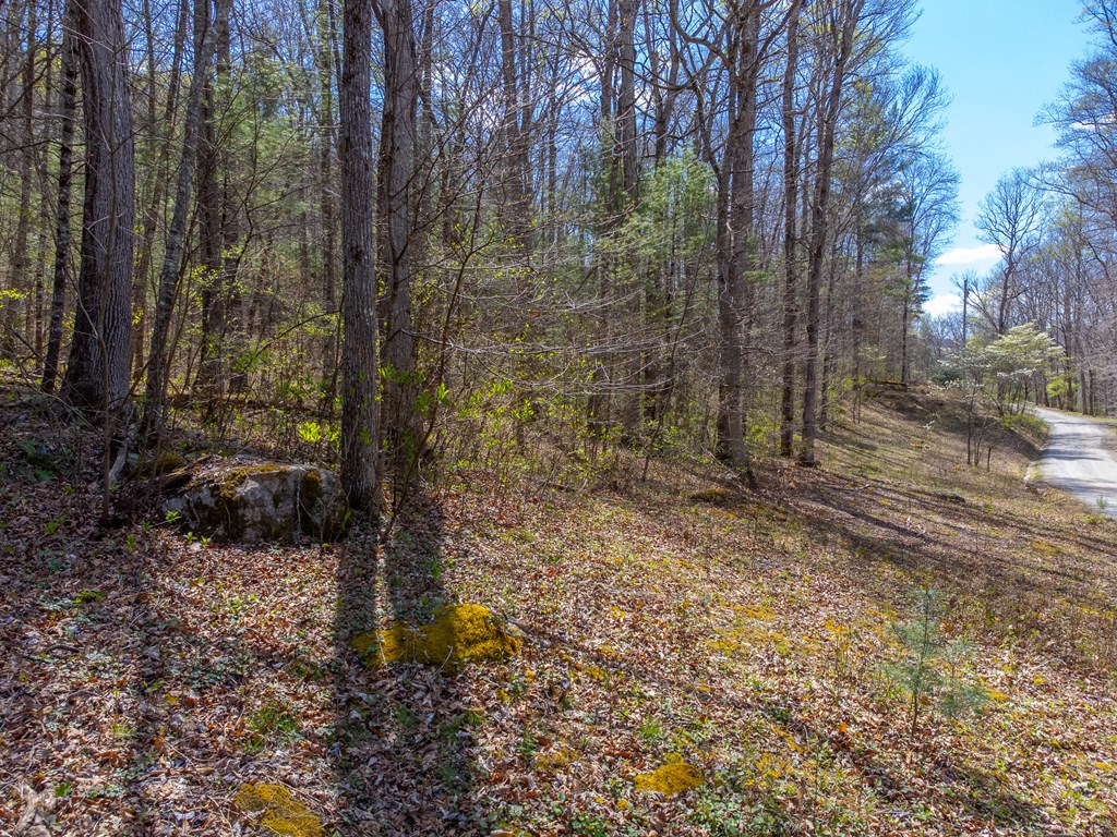 306 Cedar Creek Farm Rd