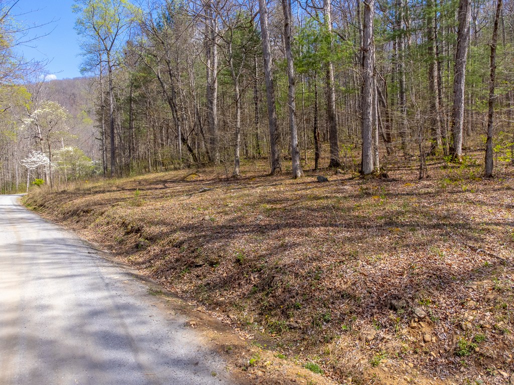 306 Cedar Creek Farm Rd