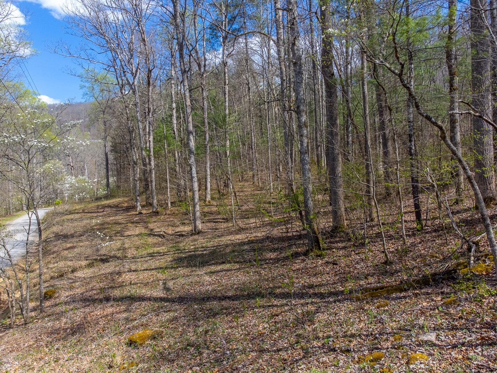 306 Cedar Creek Farm Rd