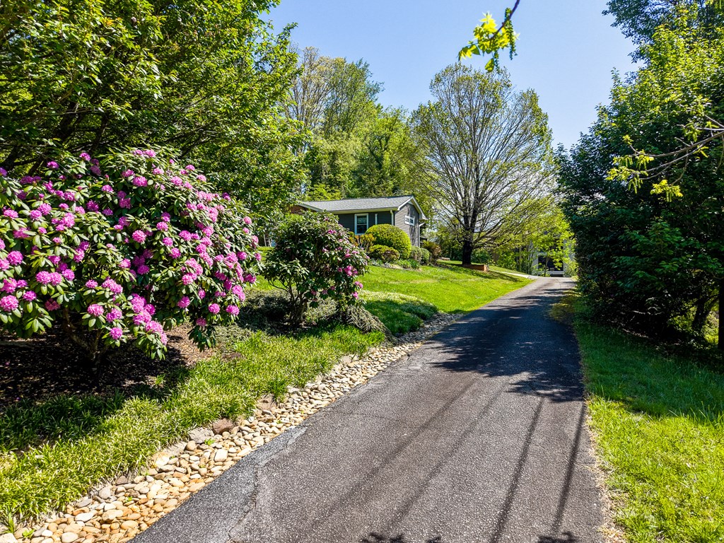 52 Briar Patch Rd