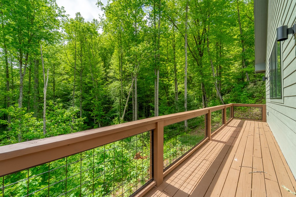 161 Panther Ridge