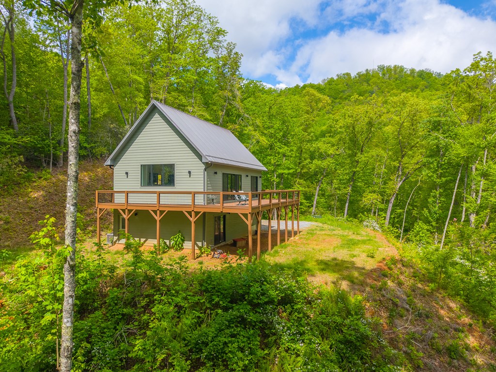 161 Panther Ridge