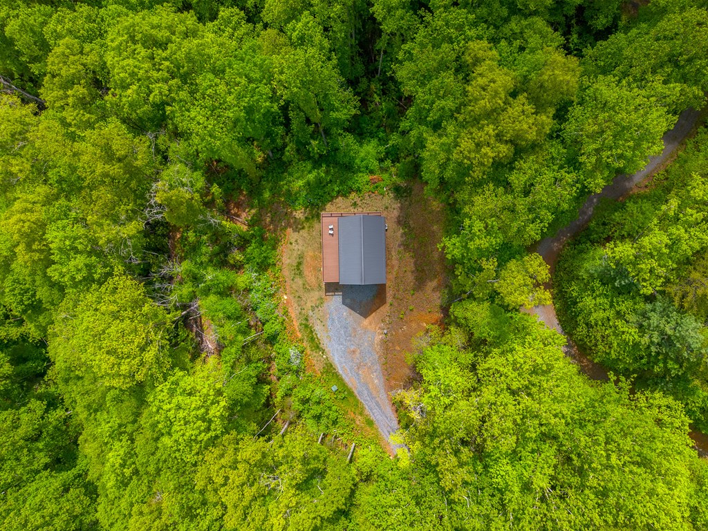 161 Panther Ridge