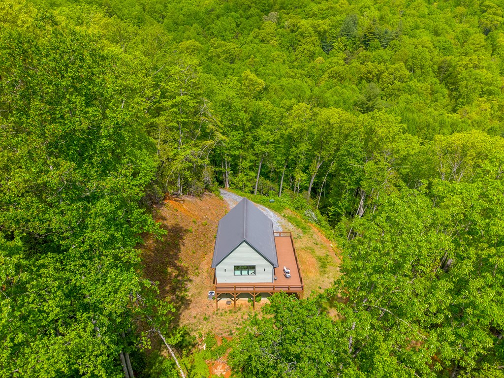 161 Panther Ridge