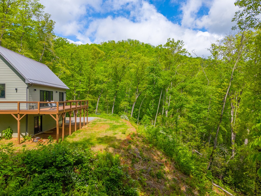 161 Panther Ridge