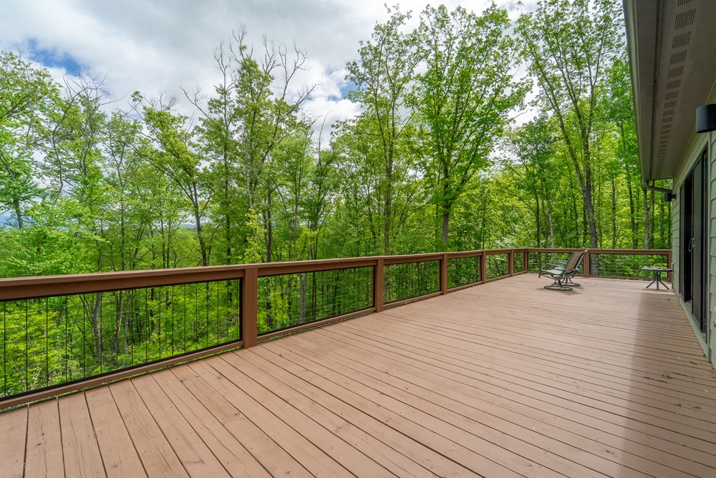 161 Panther Ridge