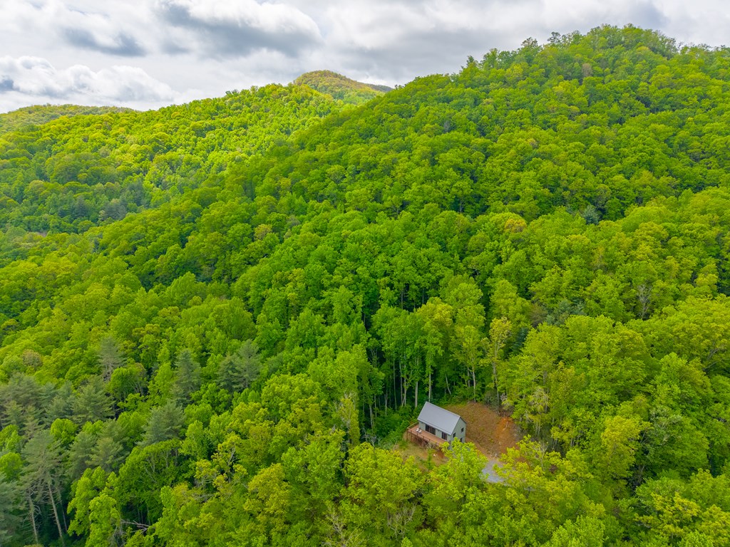 161 Panther Ridge