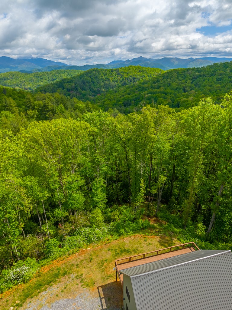 161 Panther Ridge