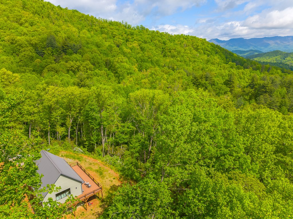 161 Panther Ridge