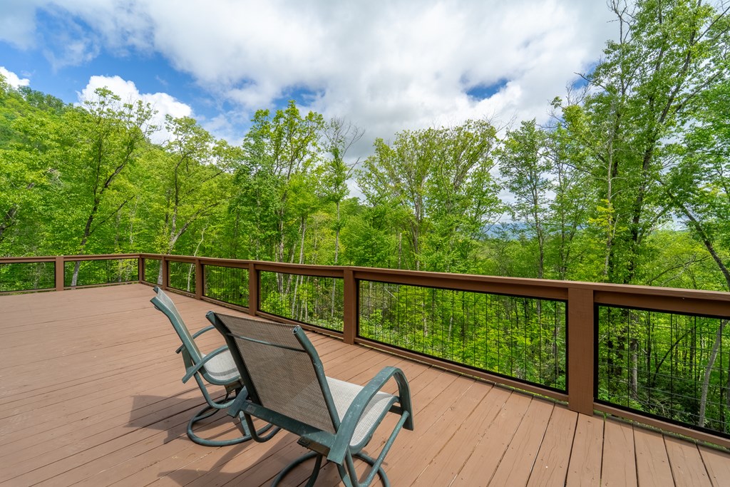 161 Panther Ridge