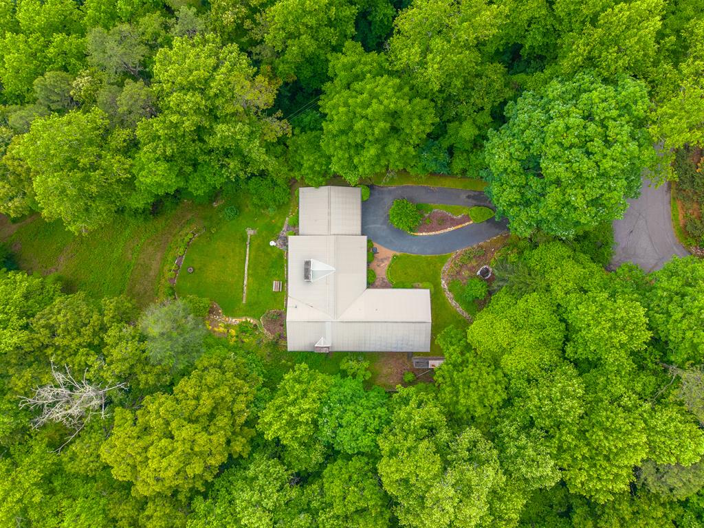 603 Hemlock Hills Dr