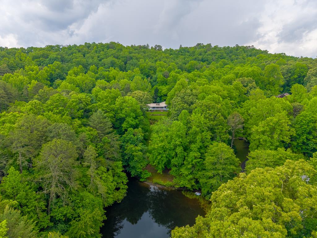 603 Hemlock Hills Dr