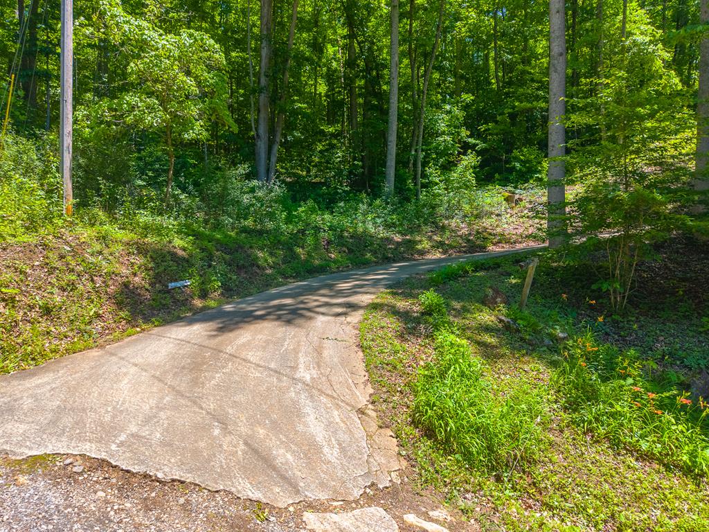 168 Grizzly Ridge