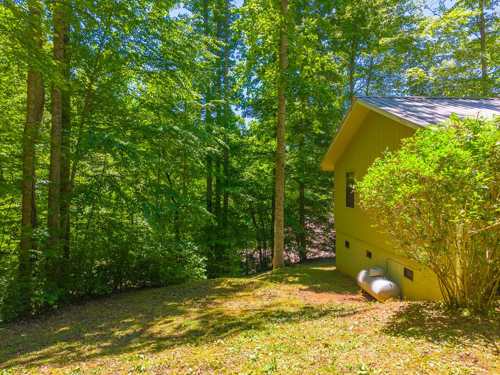 168 Grizzly Ridge