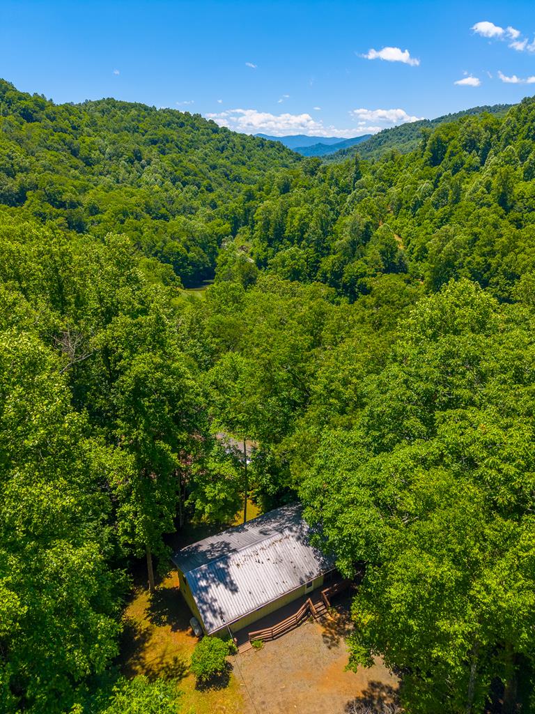 168 Grizzly Ridge