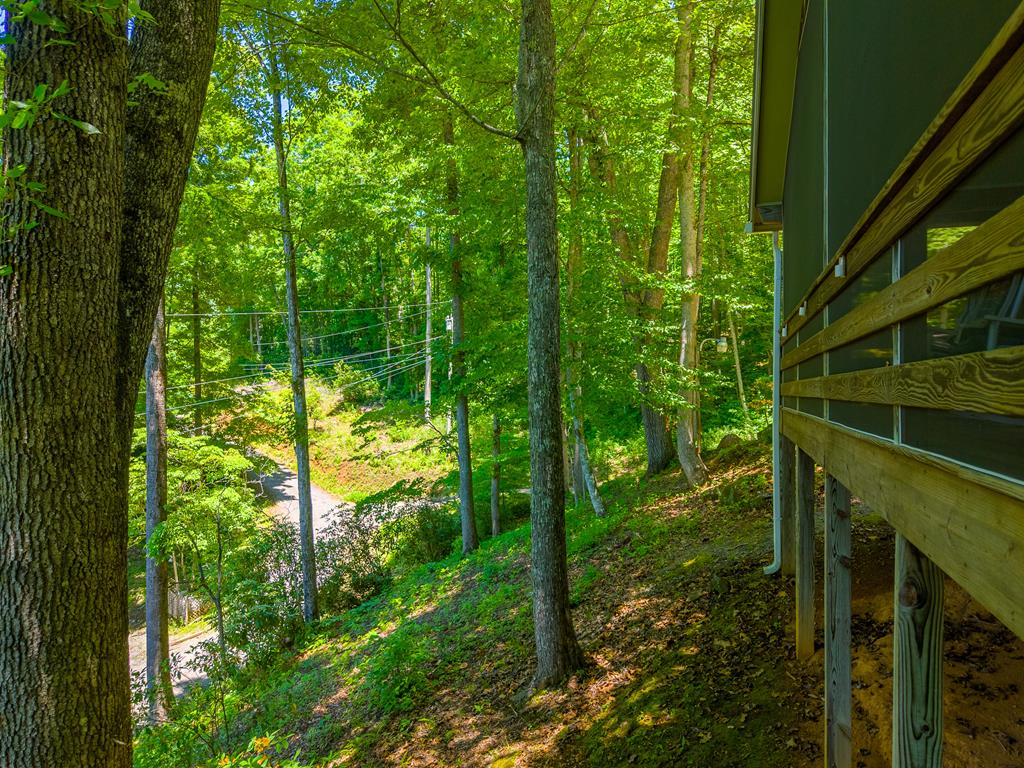 168 Grizzly Ridge