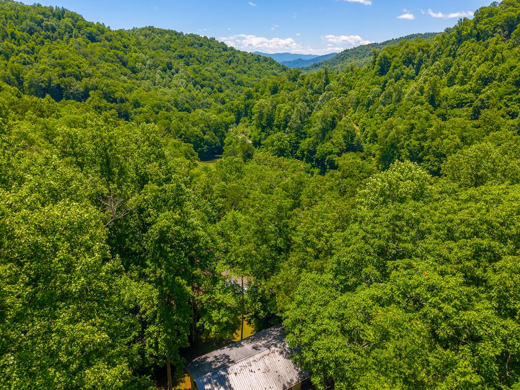 168 Grizzly Ridge