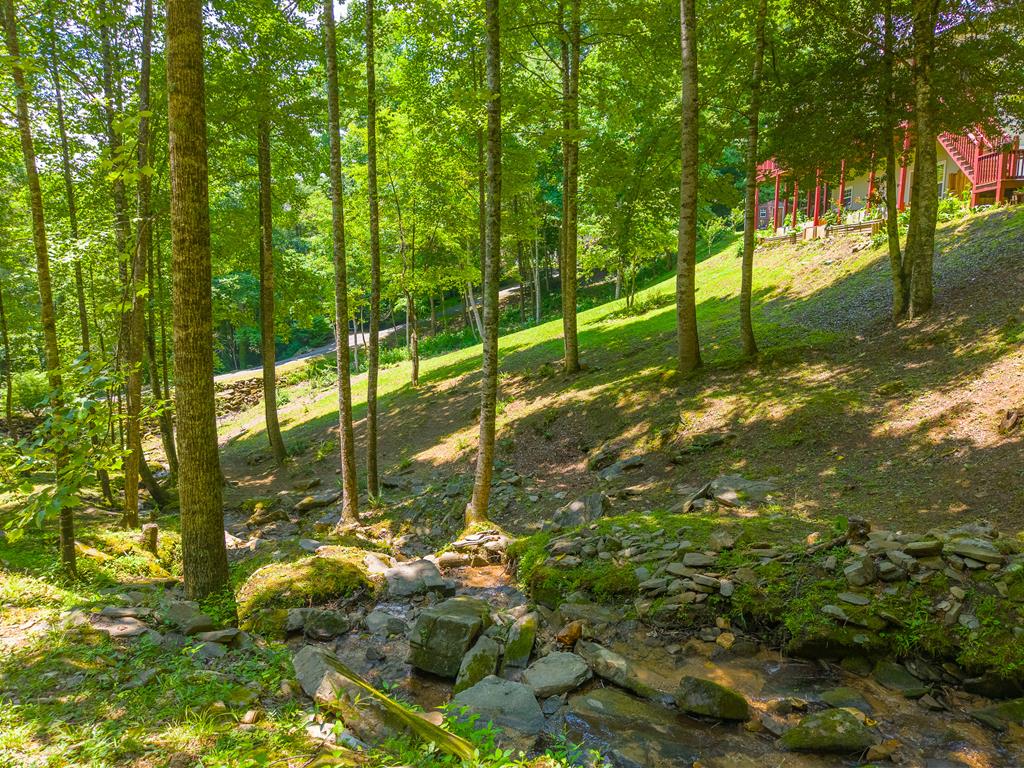 77 Pigeon Creek Trail