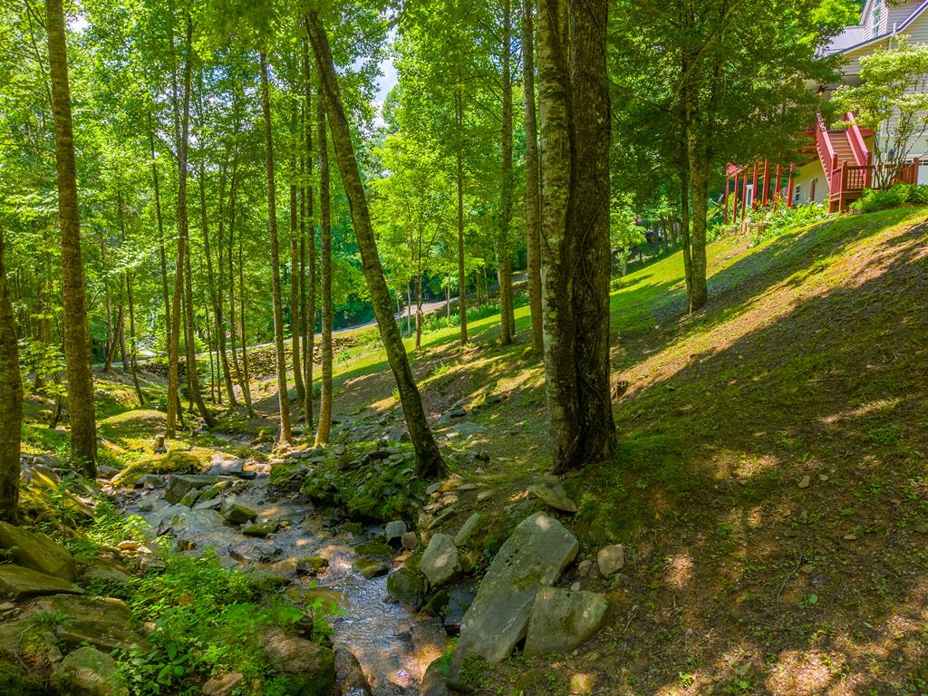 77 Pigeon Creek Trail