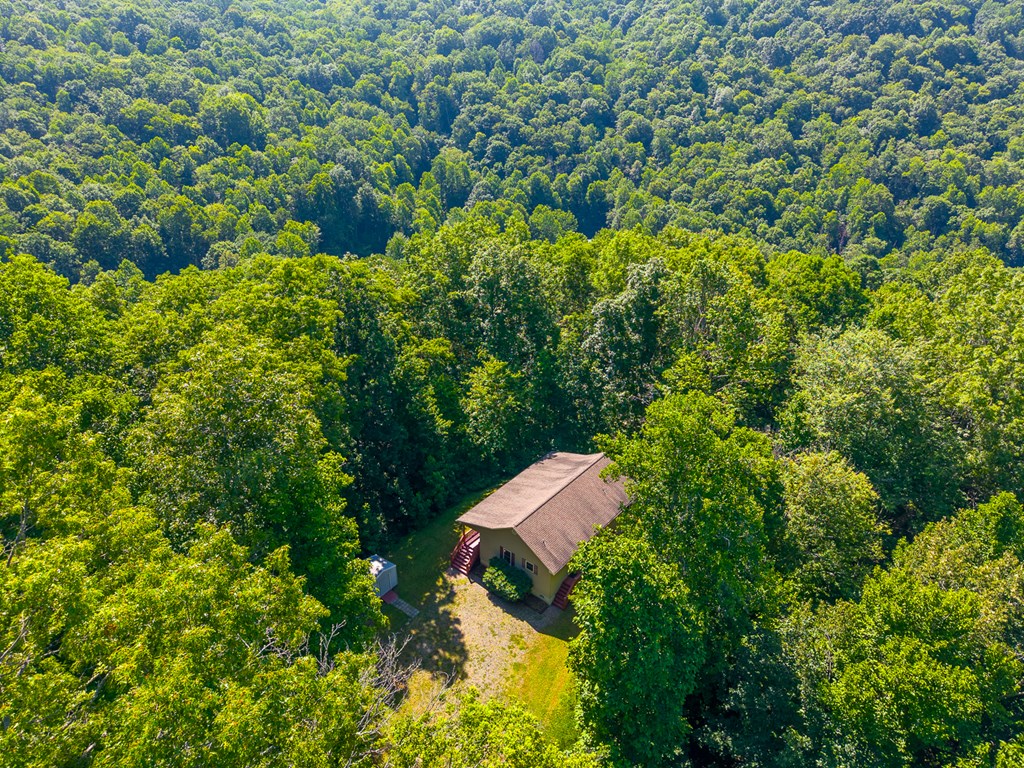 2916 Blanton Branch Rd