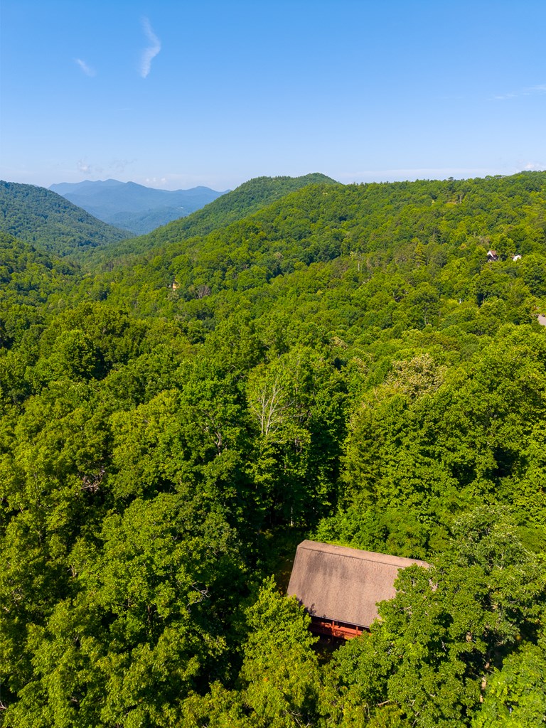 2916 Blanton Branch Rd
