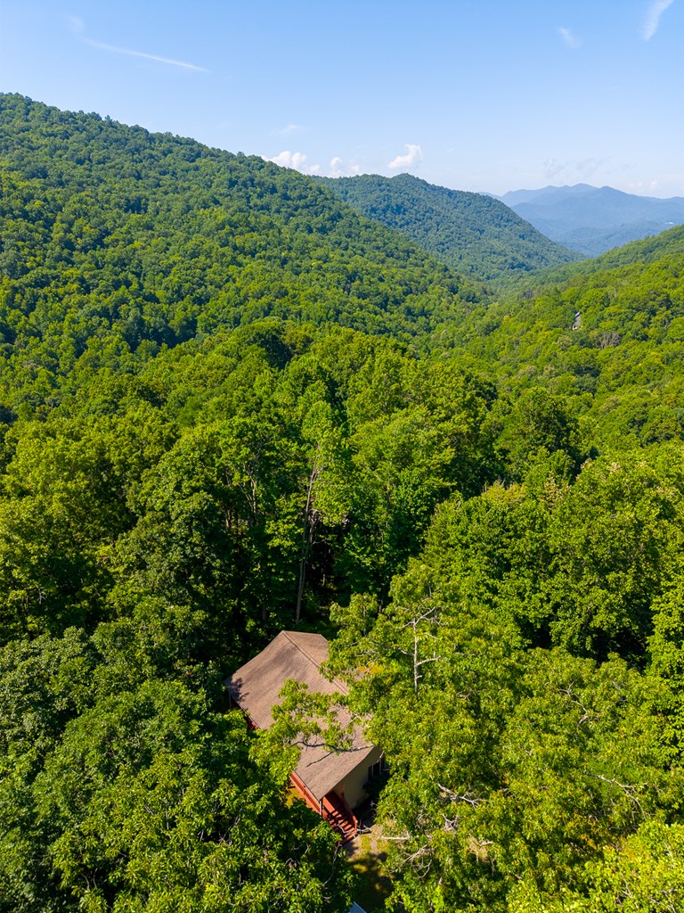 2916 Blanton Branch Rd