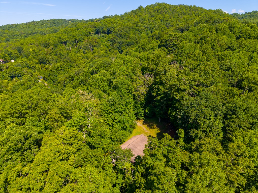 2916 Blanton Branch Rd