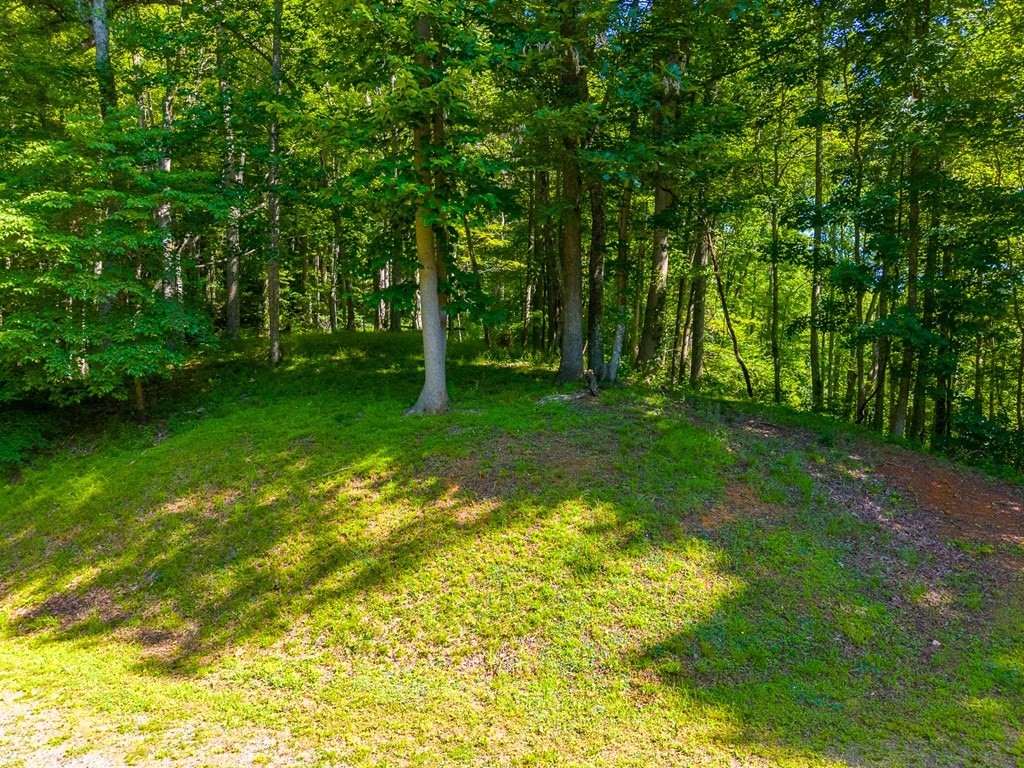 2916 Blanton Branch Rd