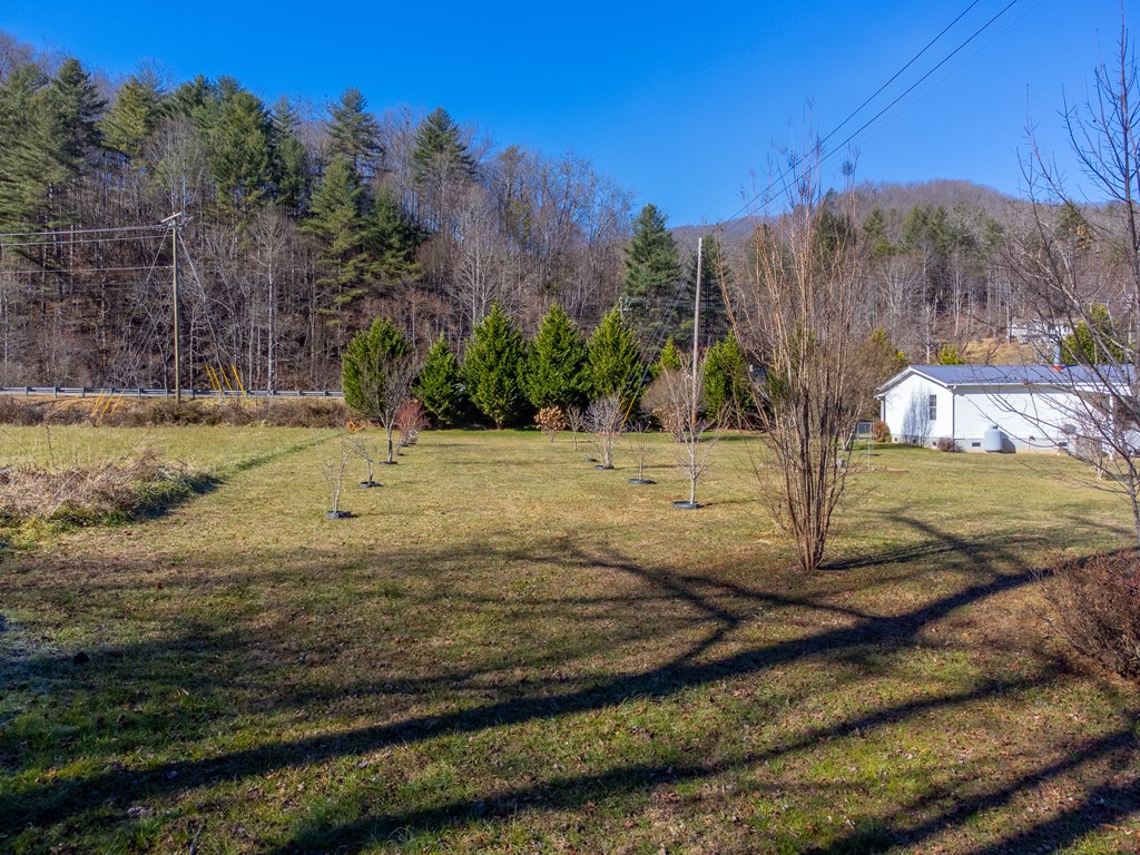 7581 HWY 441 S
