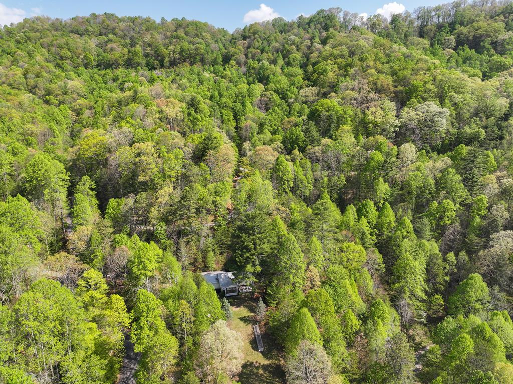 144 Bent Pine Dr