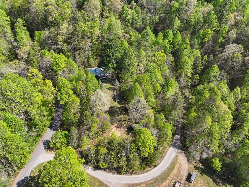 144 Bent Pine Dr
