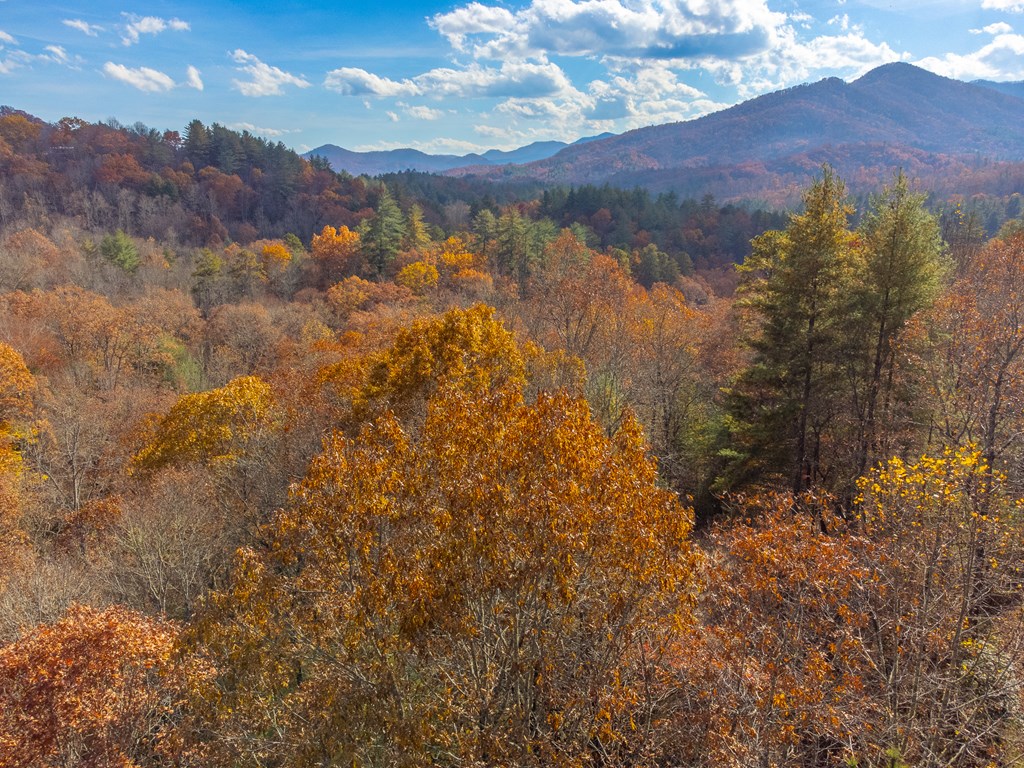 Lot 24 Rivers Edge