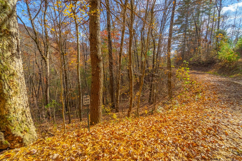 Lot 24 Rivers Edge