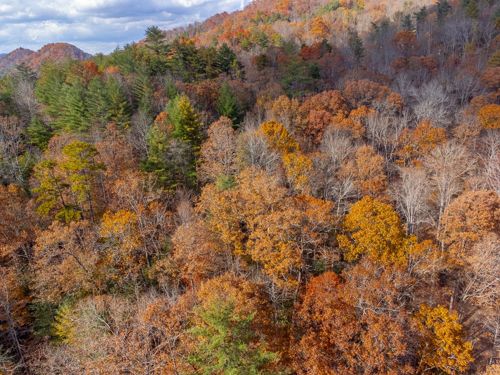 Lot 24 Rivers Edge